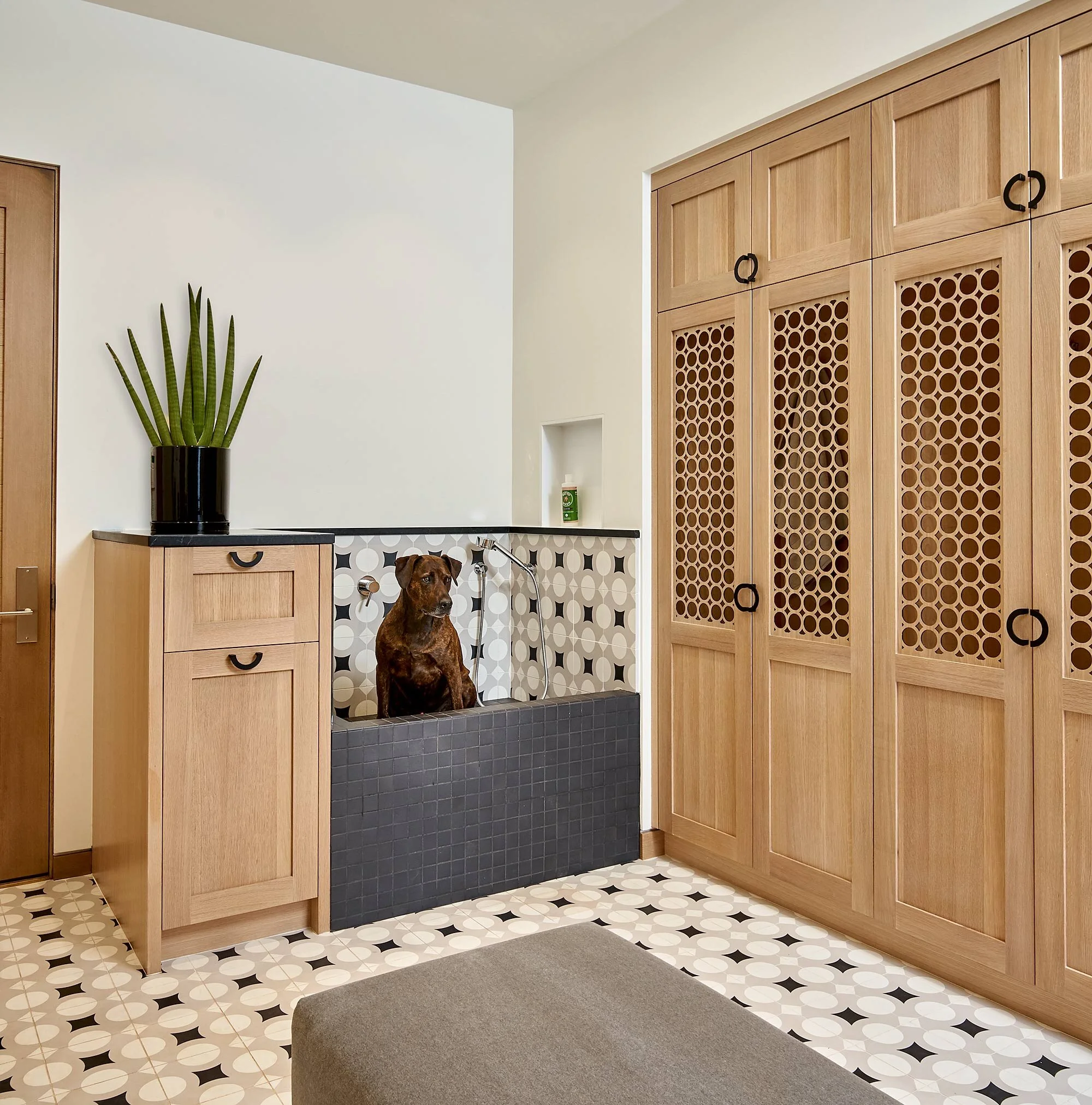Webb-Beck-Arnold-Avon-09-26-29-Mudroom-Dog-Wash-Web.jpg