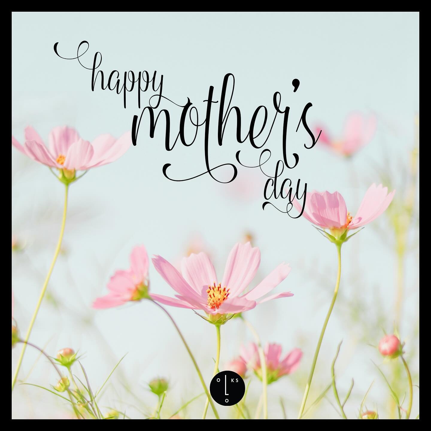 25%OFF Site wide.
#makeup #mothersday #mothersdaygifts #shadow #blush #napervilleillinois
