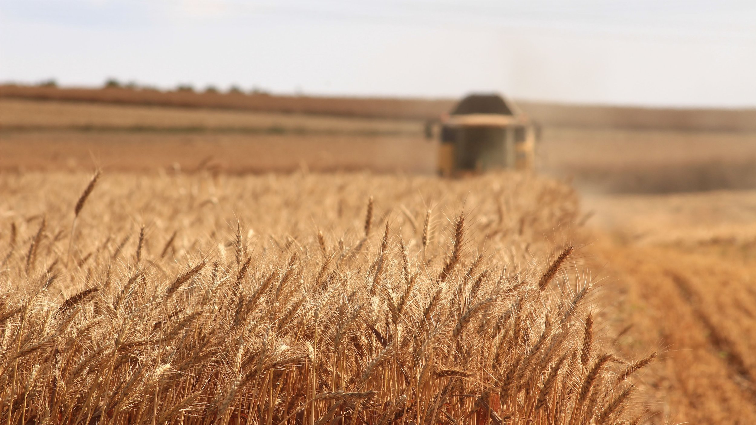 Determine agricultural opportunities