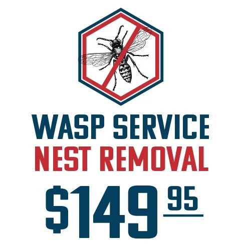 WaspServiceStore1-v2.jpg