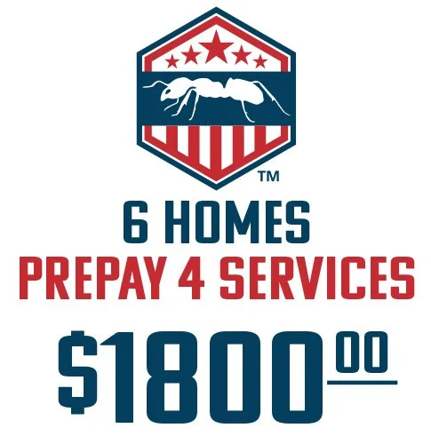 Pay1800-prepay.jpg