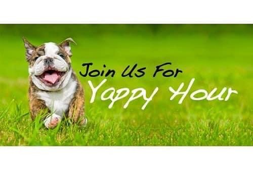 🐾🚿 Pamper your furry friend today from 3:30-530pm!! Enjoy $7 nail trims - cash only. Treat your pup to a paw-some experience!! 
🐶💅 #DogGrooming #NailTrimSpecial #HappyPaws