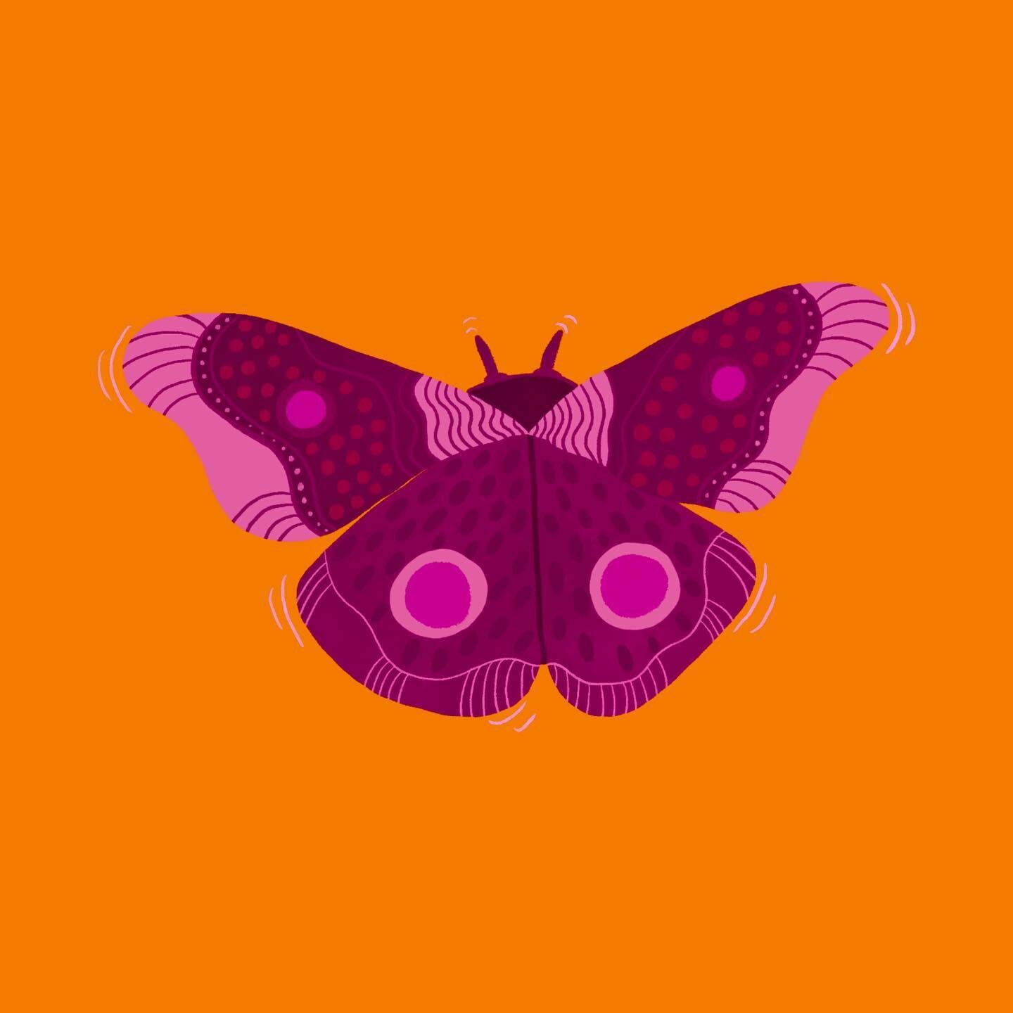 🦋🐝🐞 

#illustration #procreate #design #designer #create #creative #moth #illustrator
