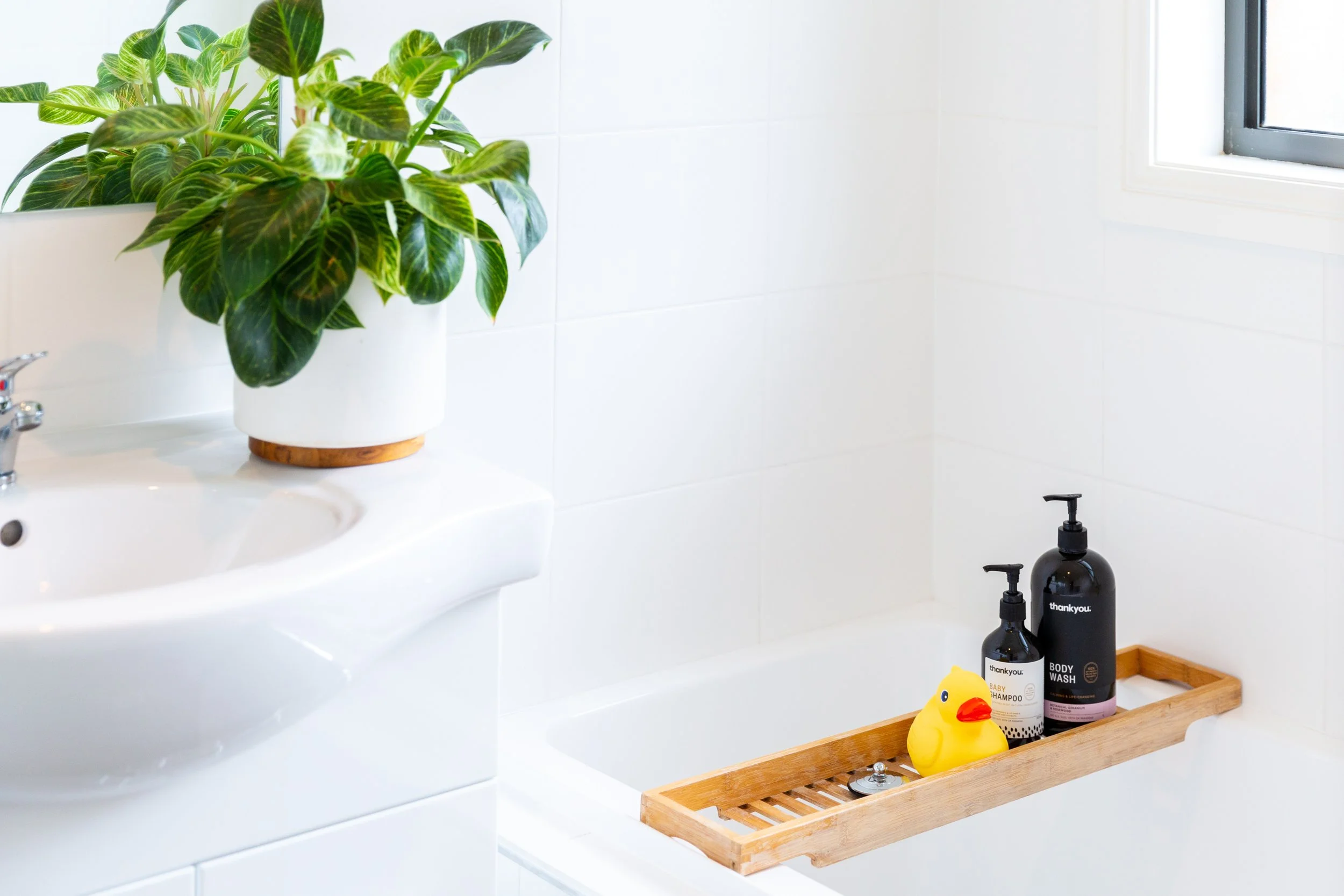 122 Macfarlane Avenue Macgregor — HIVE Property Canberra Real