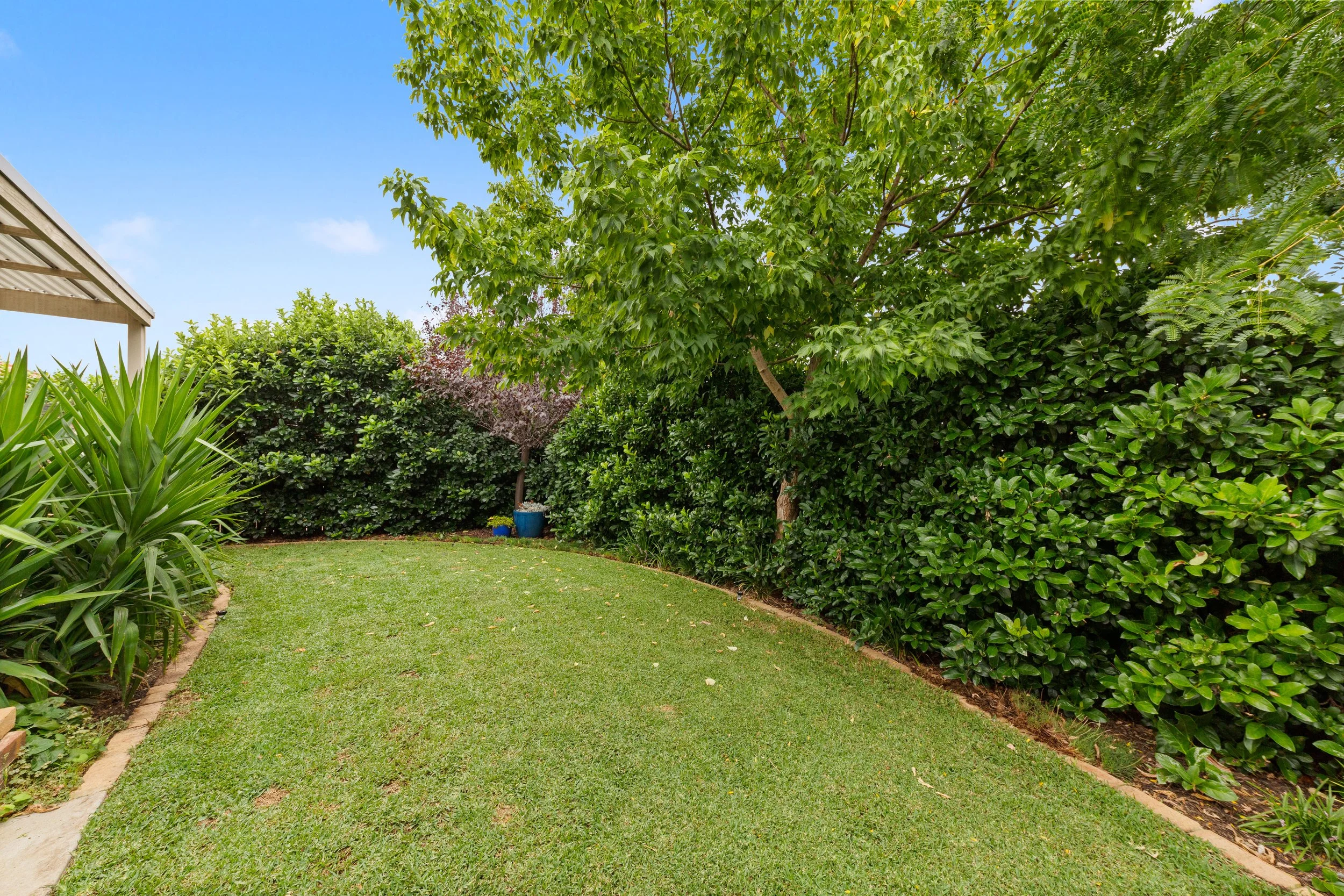 122 Macfarlane Avenue Macgregor — HIVE Property Canberra Real