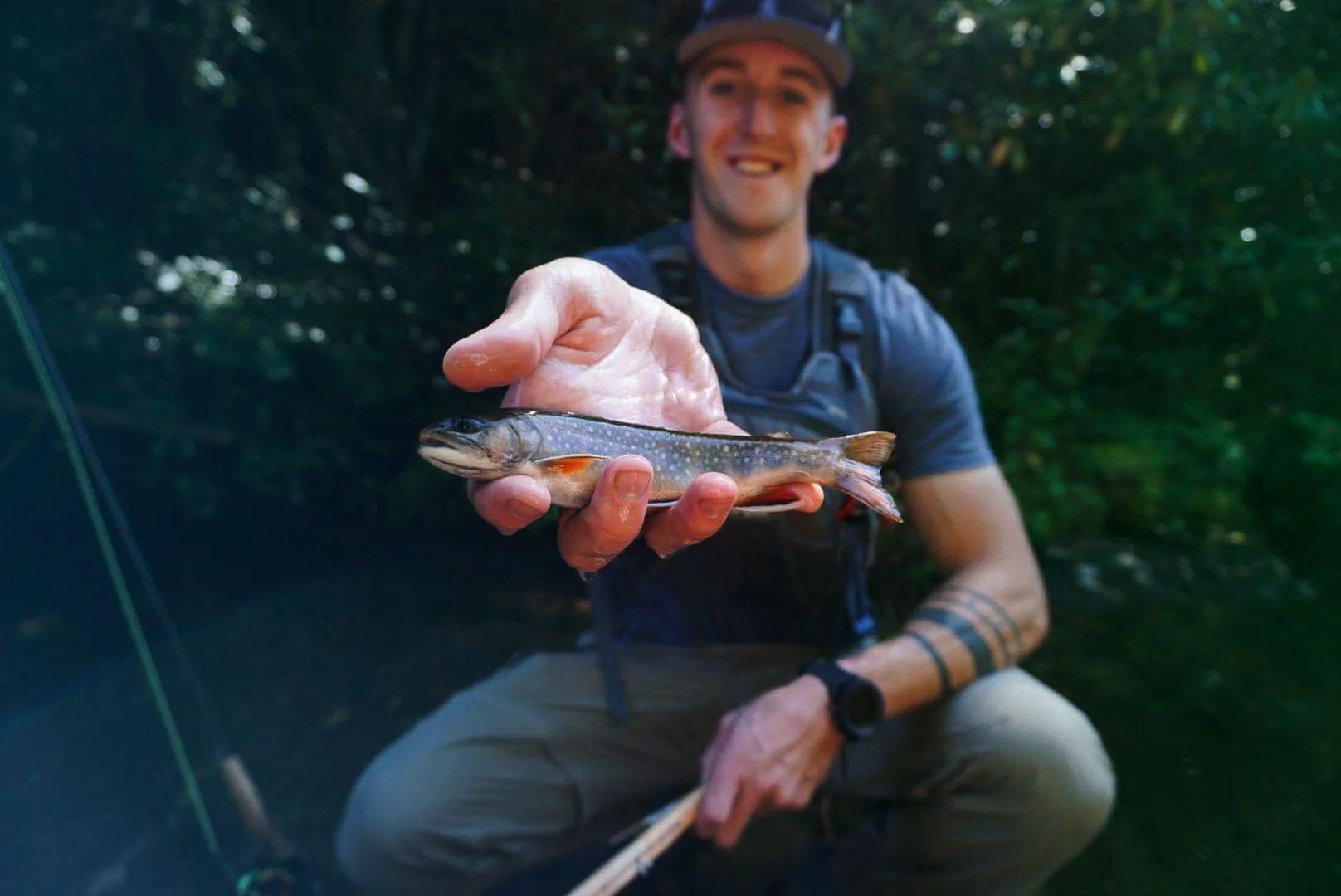 Producer/Director Michael Cheser sharing his native Southern Appalachian Brook Trout in the Blue Ridge Mountains, NC.