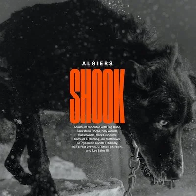 Algiers "Shook"