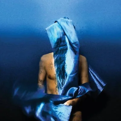 Devendra Banhart - "Flying Wig"