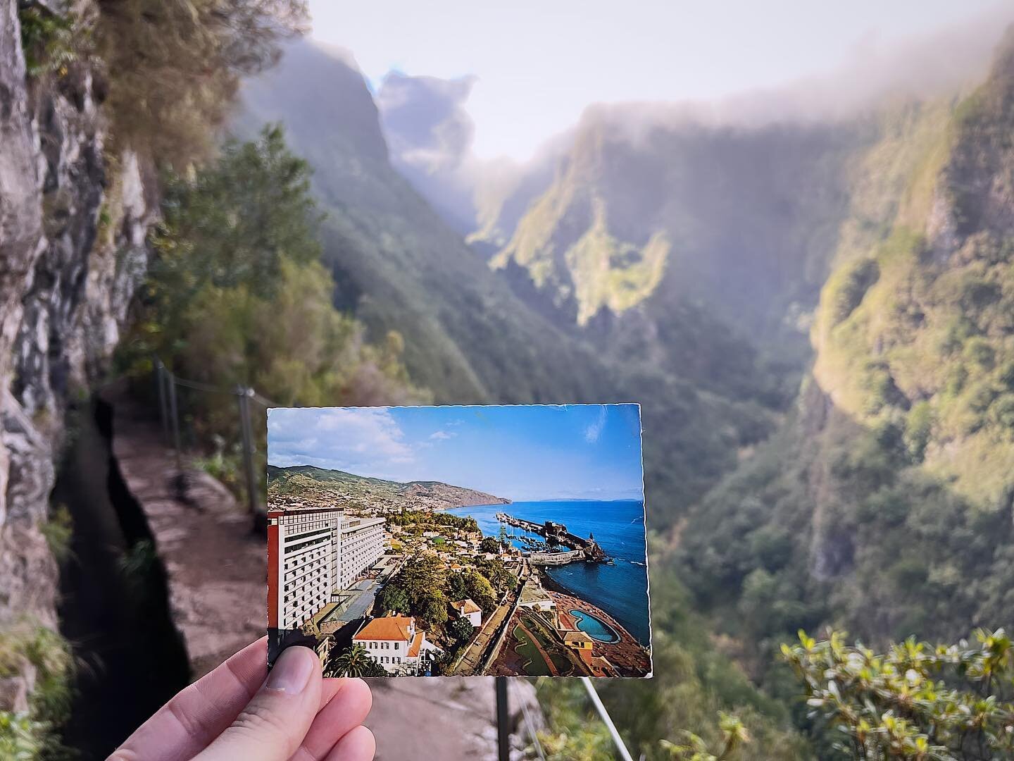This postcard was my first my glimpse into Madeira. I knew my grandfather&rsquo;s family was from here, but not much else. 

My grandfather had this postcard because he planned a trip to see where his family was from. 

I ended up with this postcard 