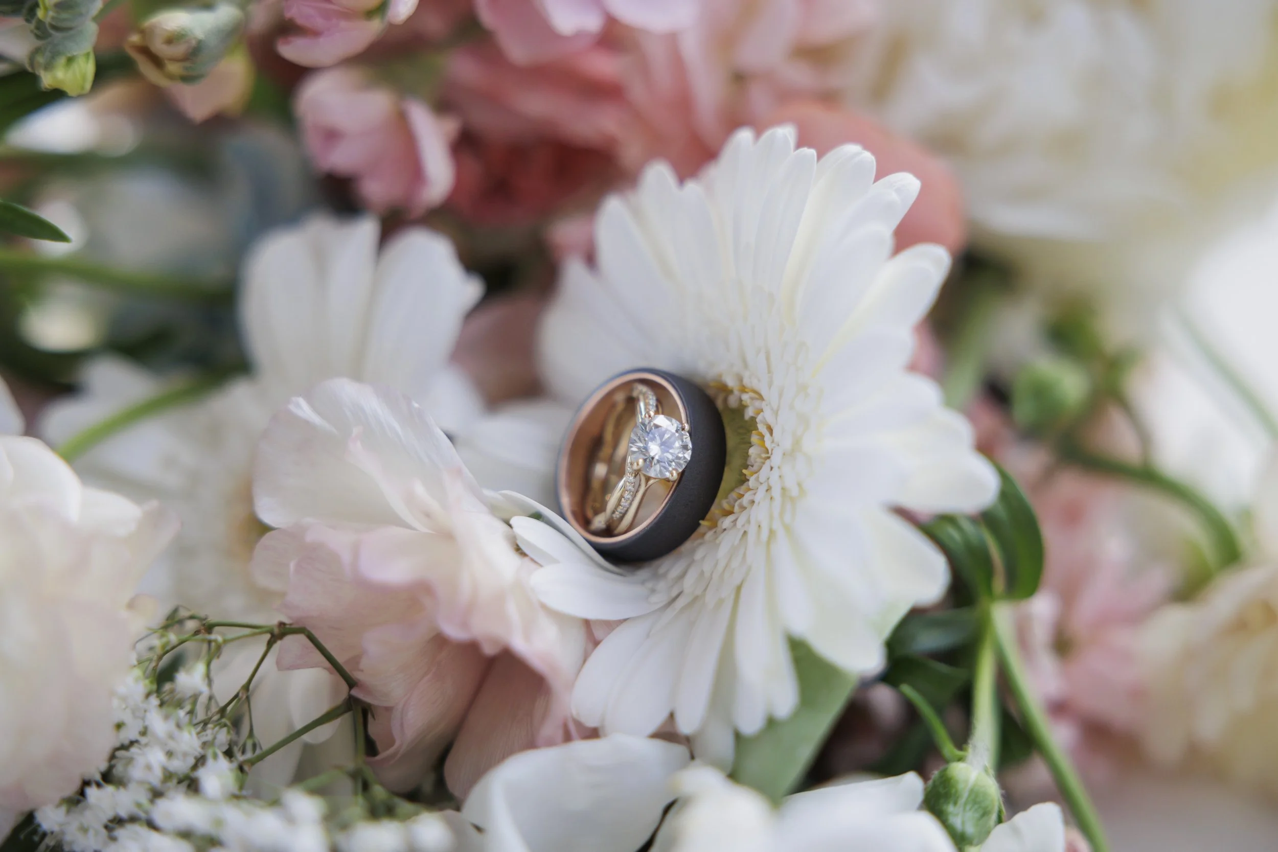 Elizabeth & Daniel 1026.JPG