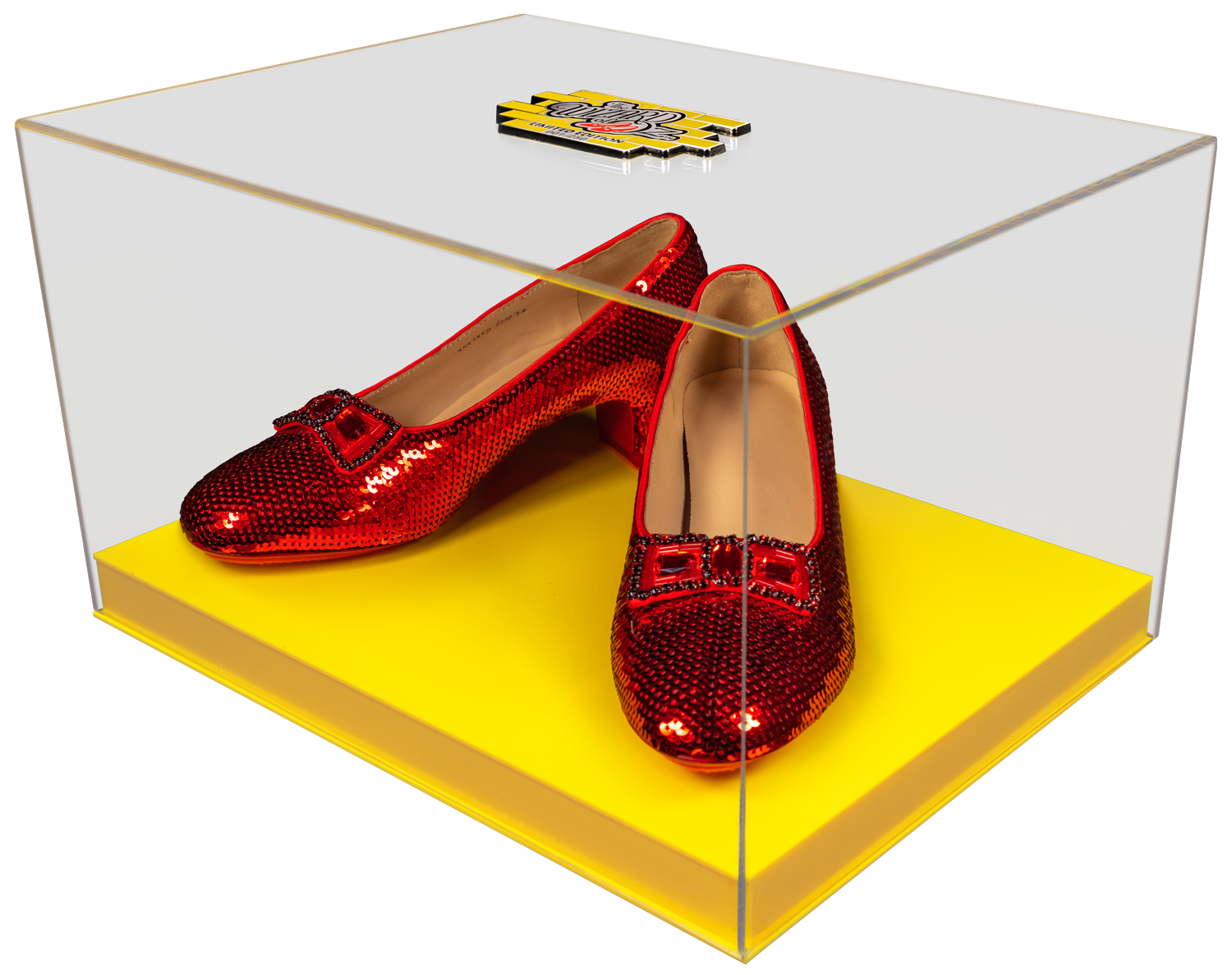IKO1703--Wizard-of-Oz-Ruby-Slippers-in-case-V2-NEUT-03.png
