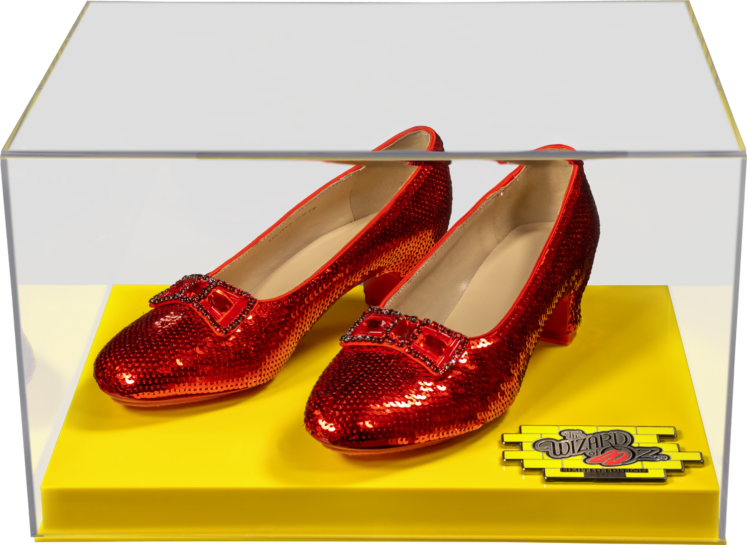 IKO1703--Wizard-of-Oz-Ruby-Slippers-in-case-V2-NEUT-07.png