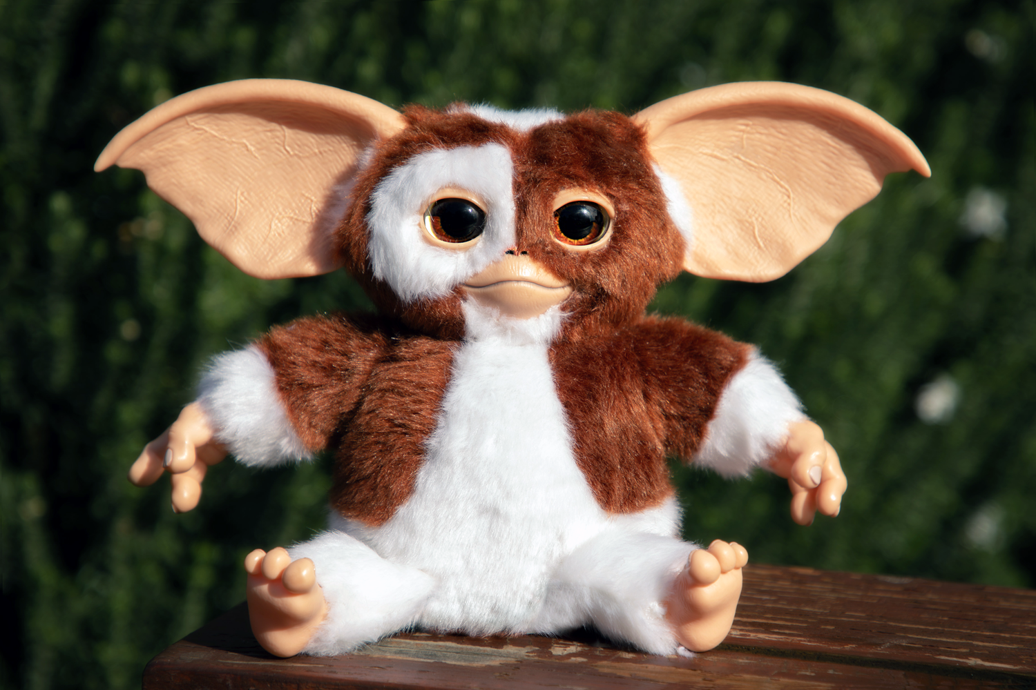 IKO1910--Gizmo-Plush-008.png