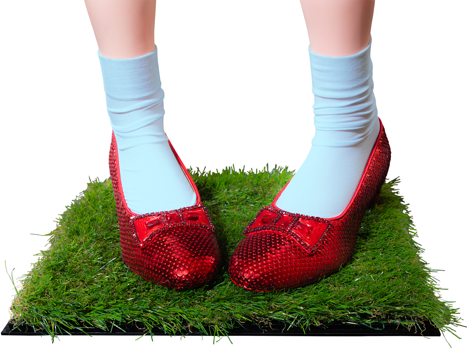 Wizard-of-oz-slippers-v3_00002.png