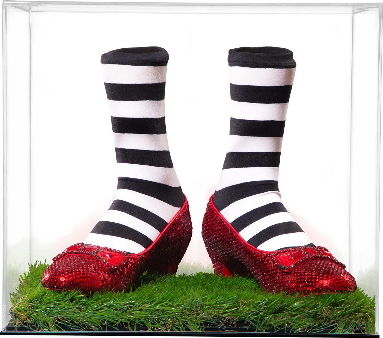 Wizard-of-oz-slippers-v3_00001.png