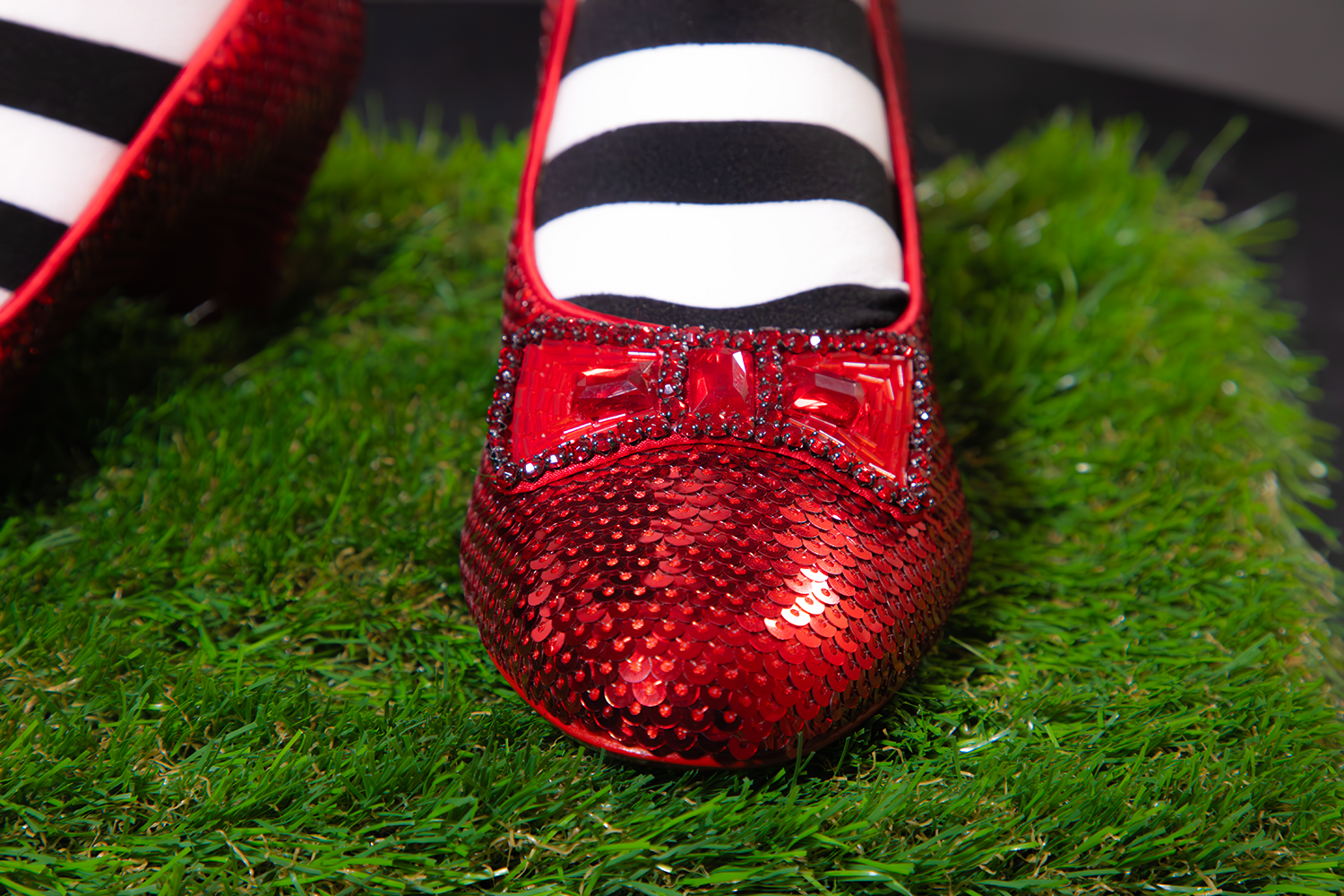 Wizard-of-oz-slippers-v3_00005.png