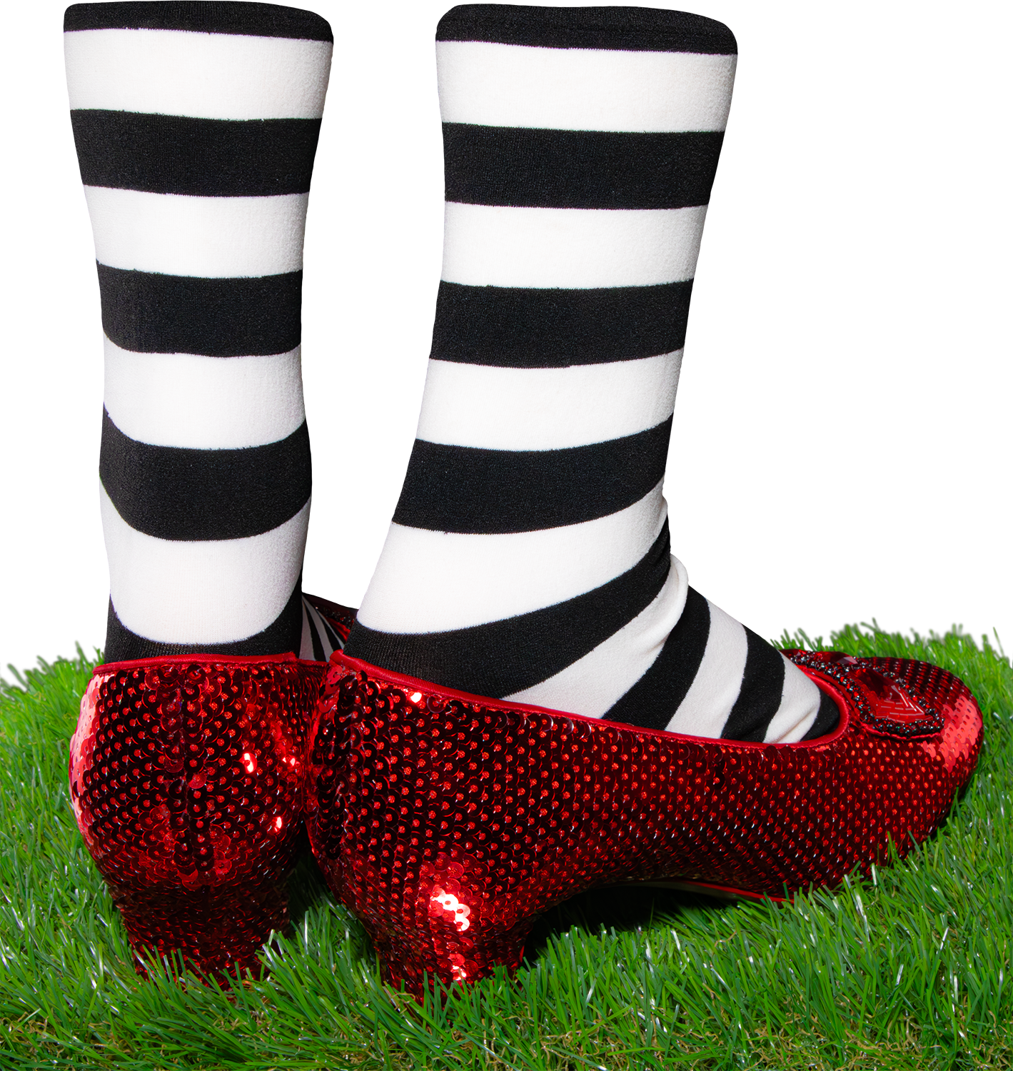 Wizard-of-oz-slippers-v3_00007.png