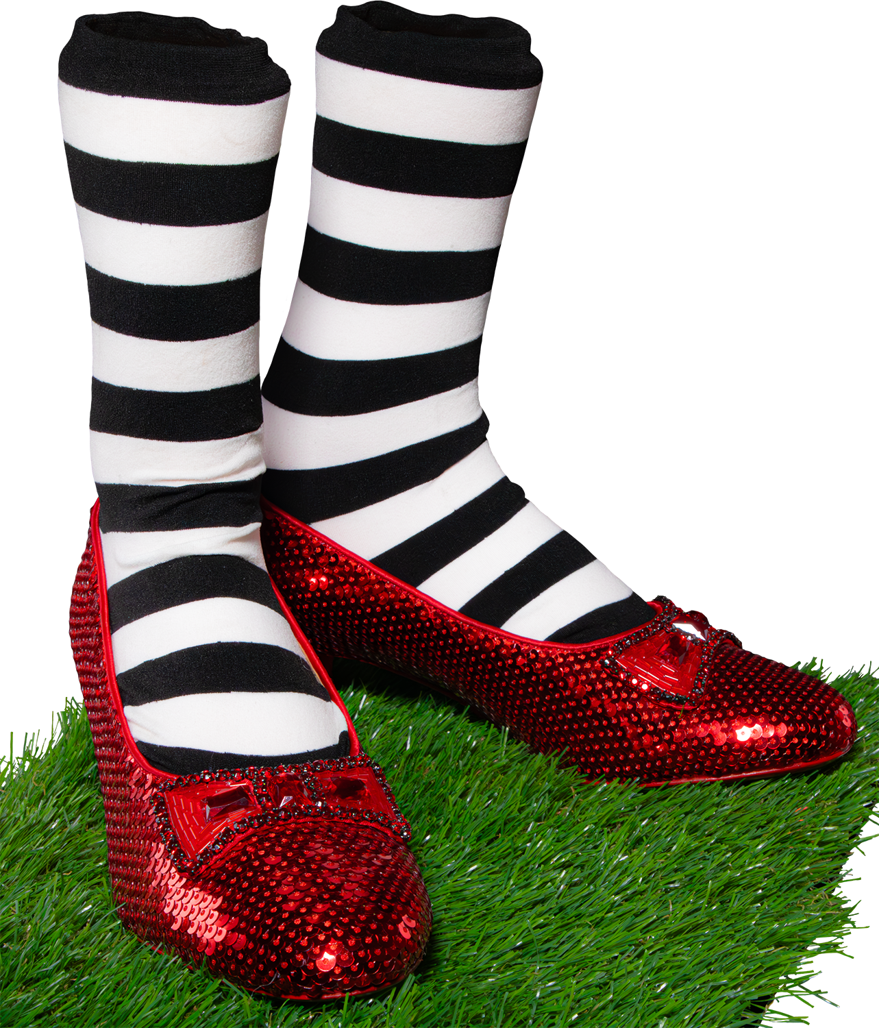 Wizard-of-oz-slippers-v3_00009.png