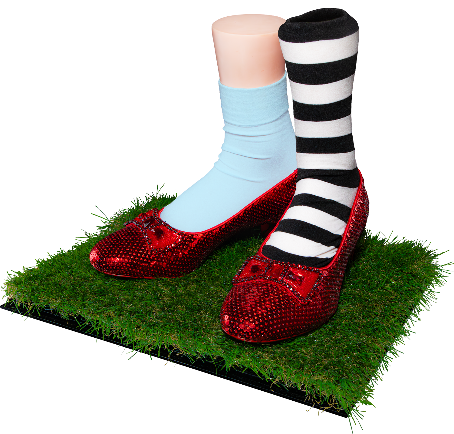 Wizard-of-oz-slippers-v3_one-of-each-a.png