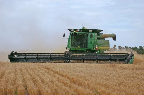 Harvest Observations (November 2012)