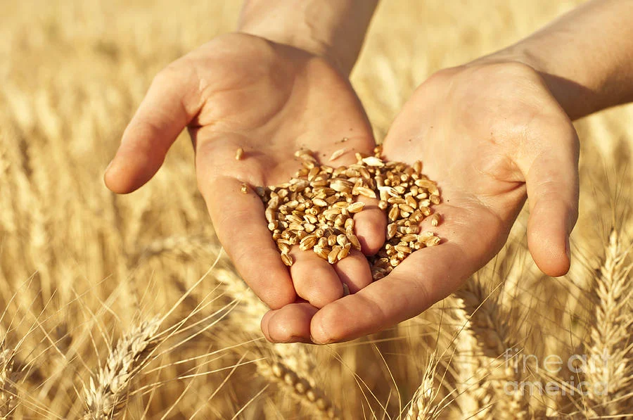 National Residue Survey