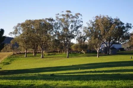 Farm Innovation Fund