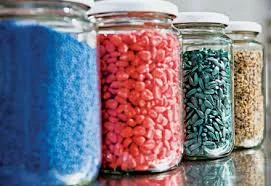 Seed Treatments for Early Insect Control