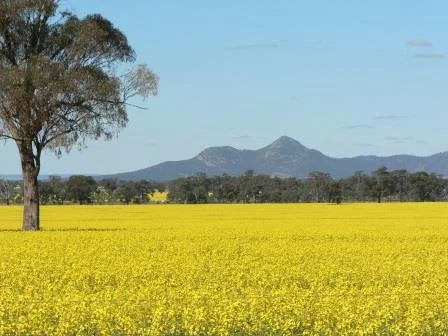 General Comments (September 2015)