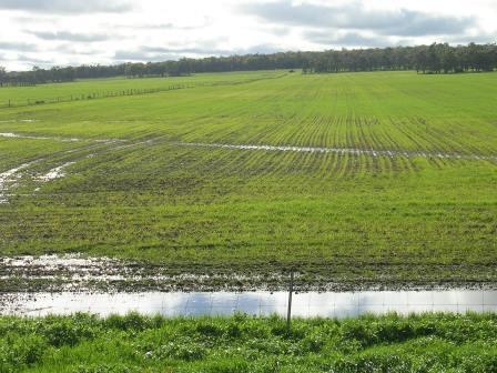 Saturated Soils - Potential for Denitrification (June 2016)