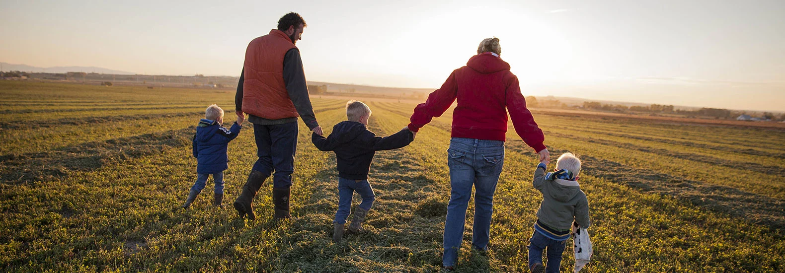 Understanding Farm Insurance