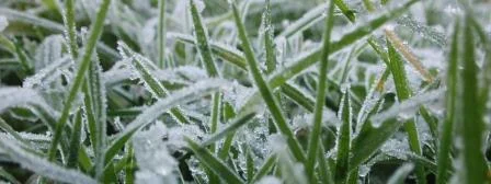 Protecting Crop Income from Adverse Weather Events