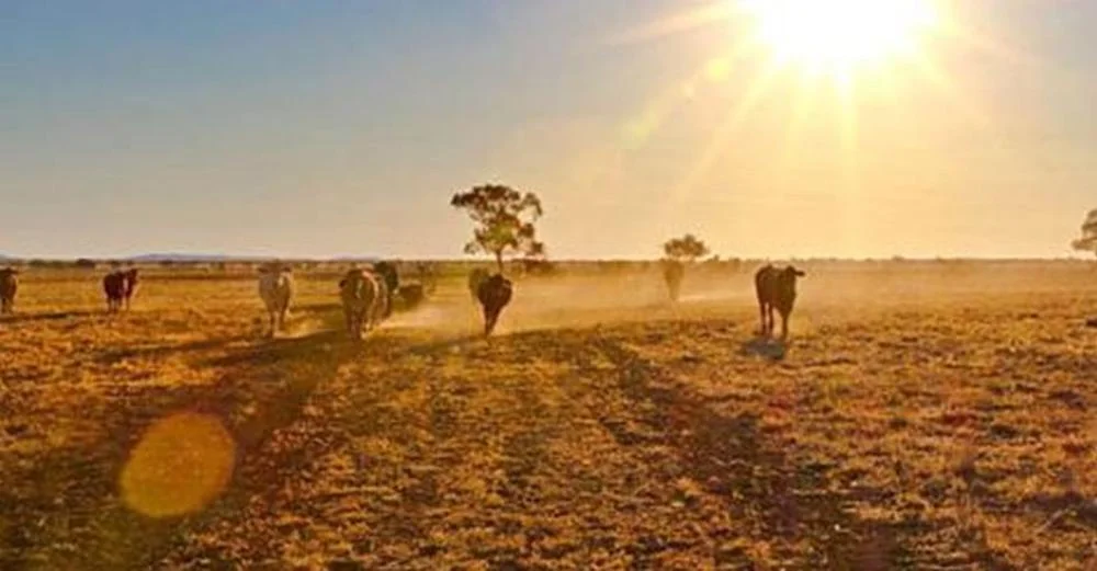 Drought Relief Funding (September 2018)