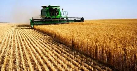 Unlocking Crop Yield Potential by Addressing Subsoil Constraints