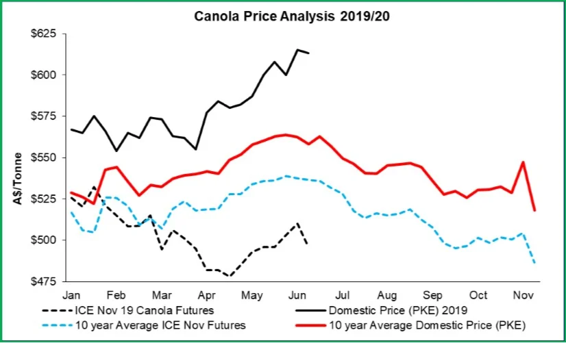 Canola-July-2019.jpg