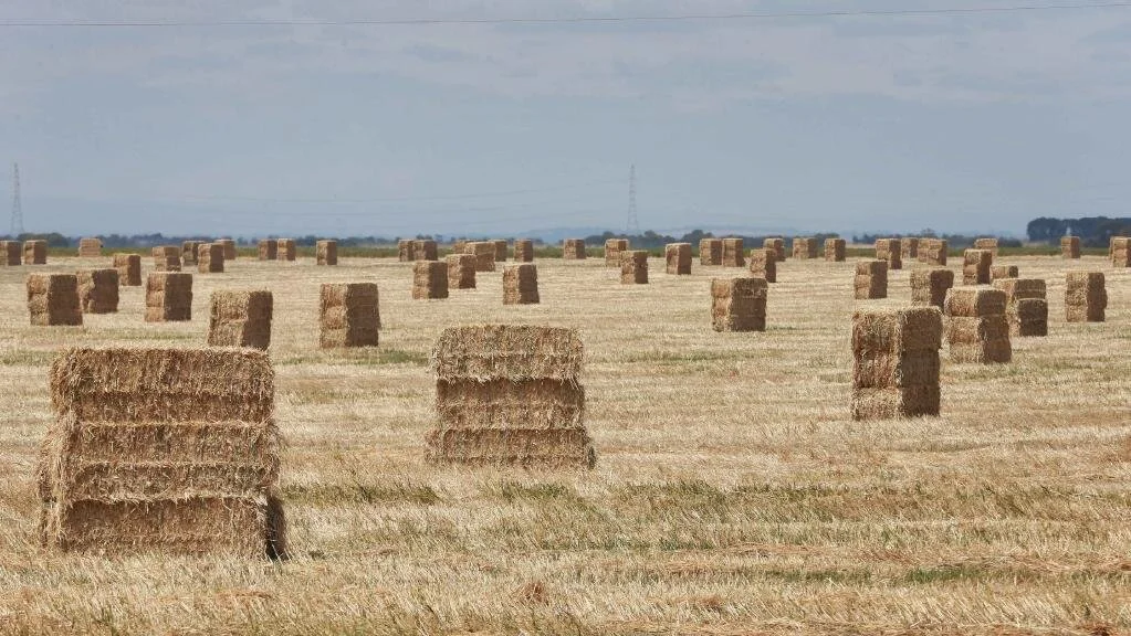 Haymaking in 2020