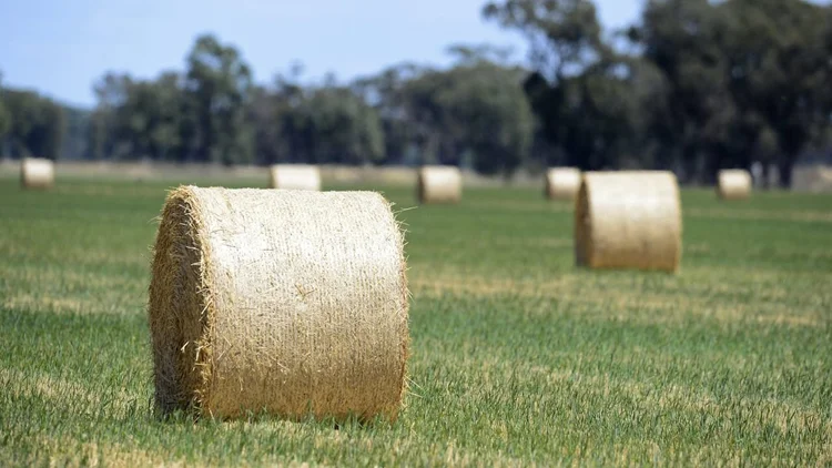 Haymaking in 2020 — RMS Agricultural Consultants