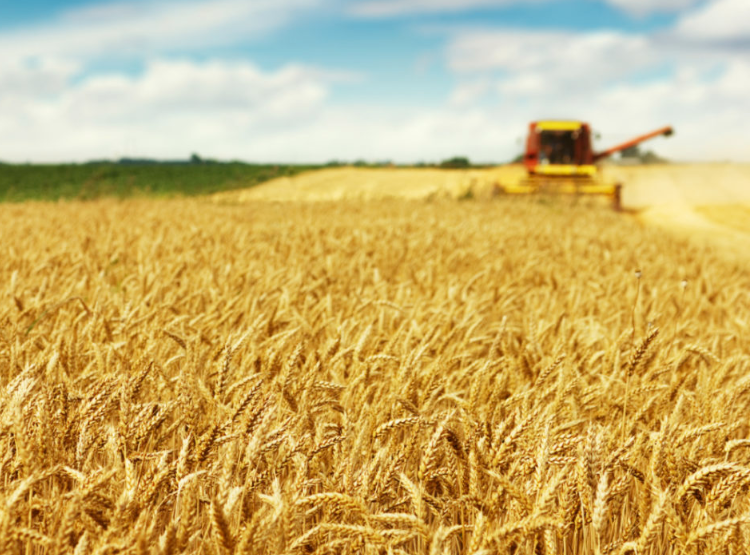 Volatility Of Markets and Cost of Production Implications