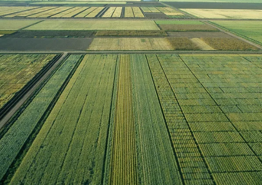 New Crop Varieties for 2023