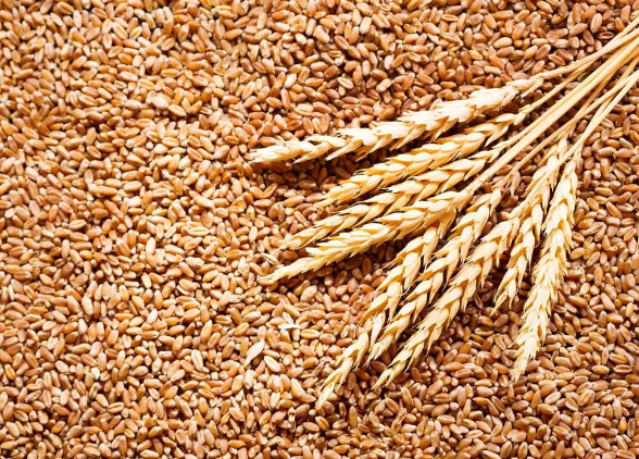 Retaining Seed for 2023