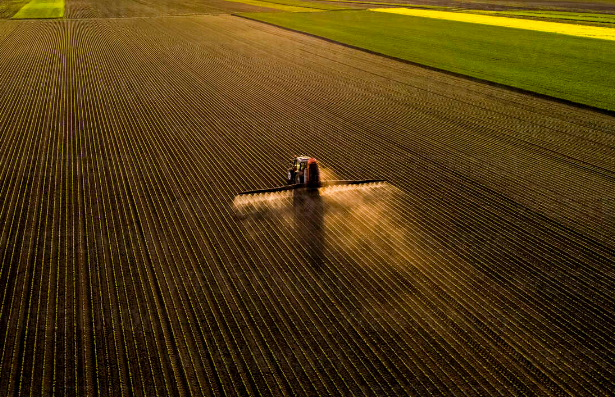 Conducting On-Farm Experiments