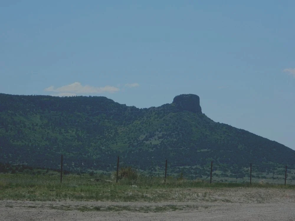 Our Success Begins With You!