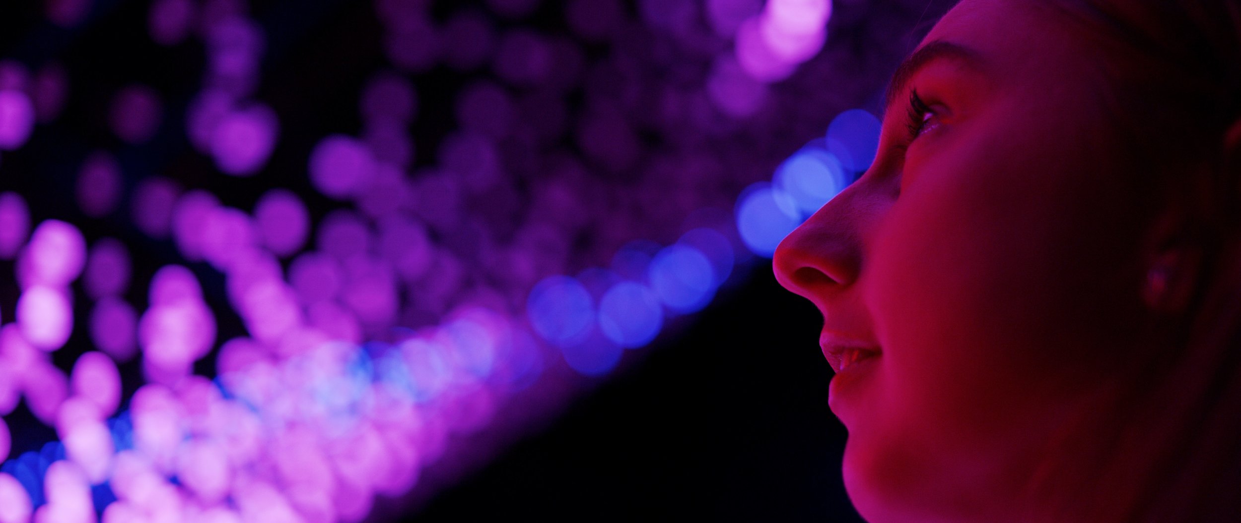 Vivid2019_02_LR.jpg