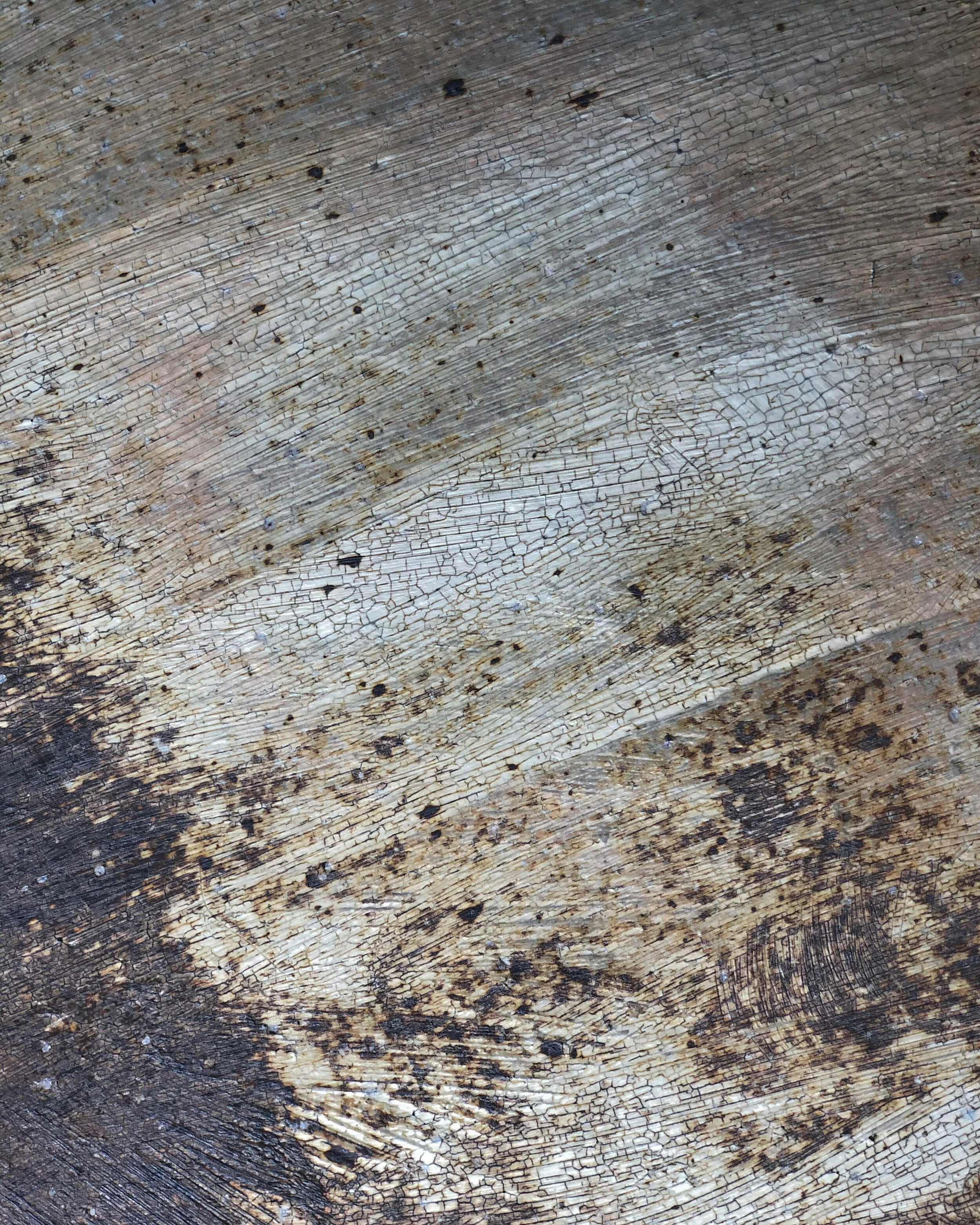 9CEA8627-056A-4126-A10C-977035EF3579.jpeg