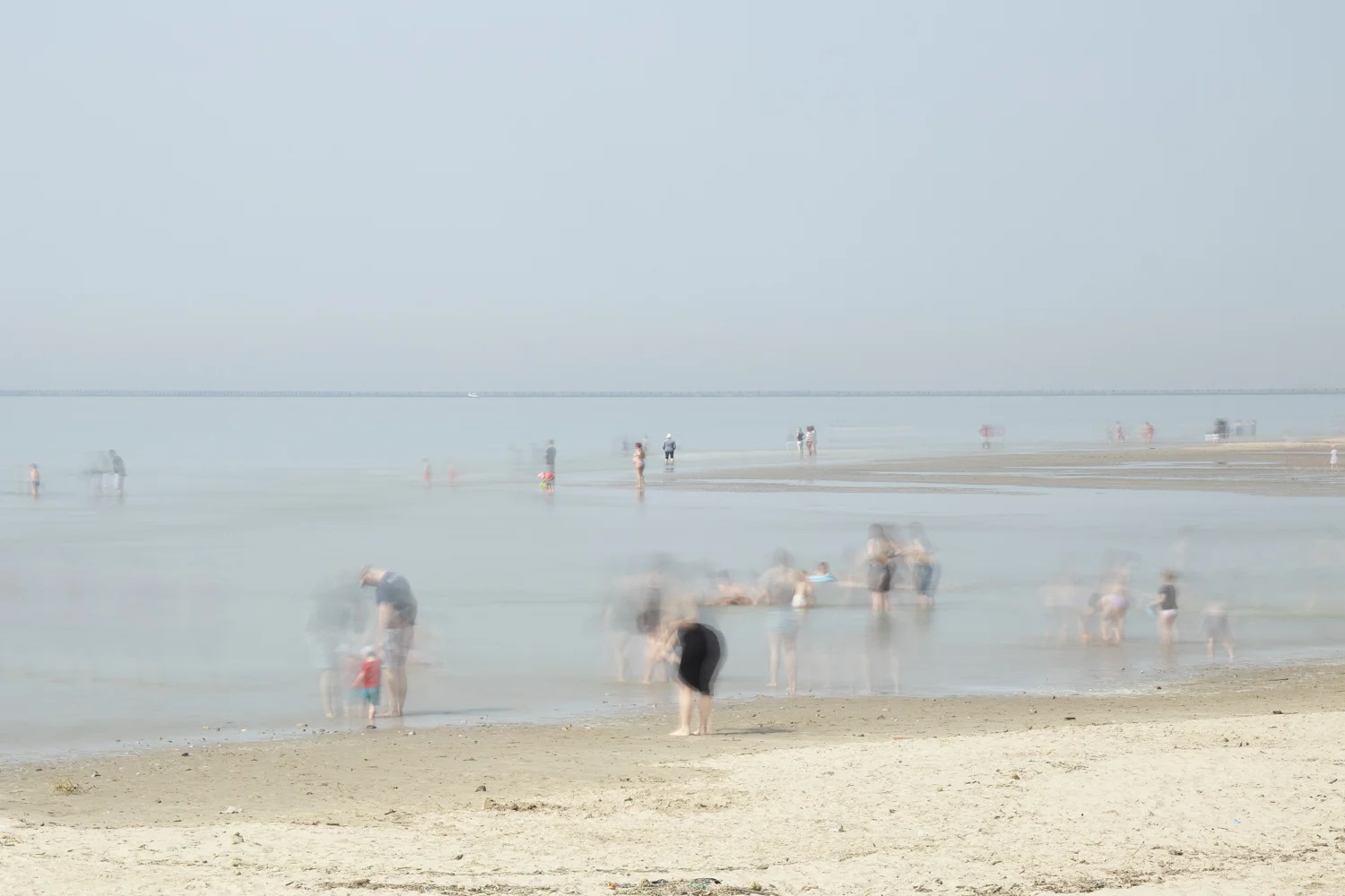 IMG_1600_lr.jpg