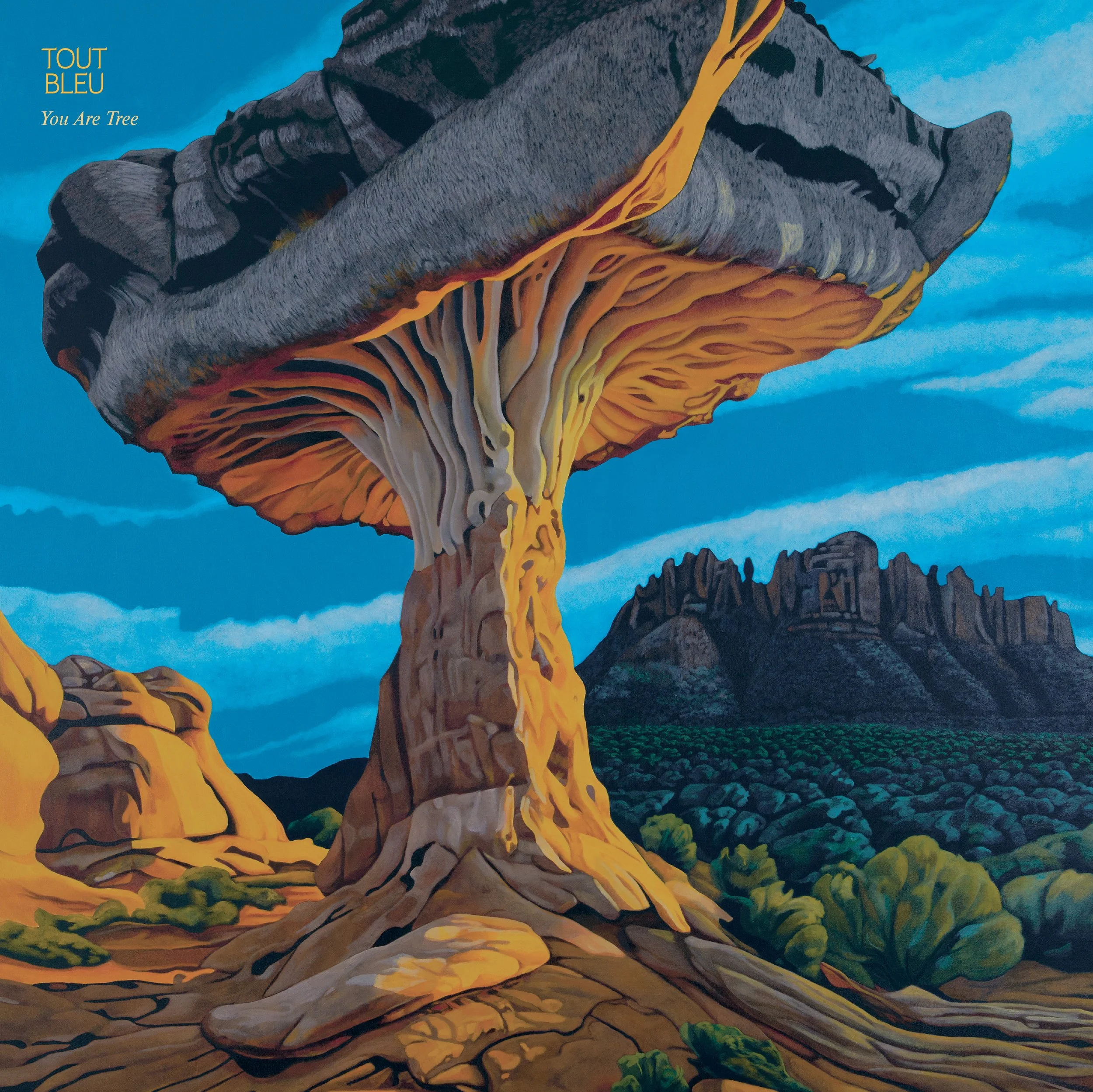 tout bleu | you are tree