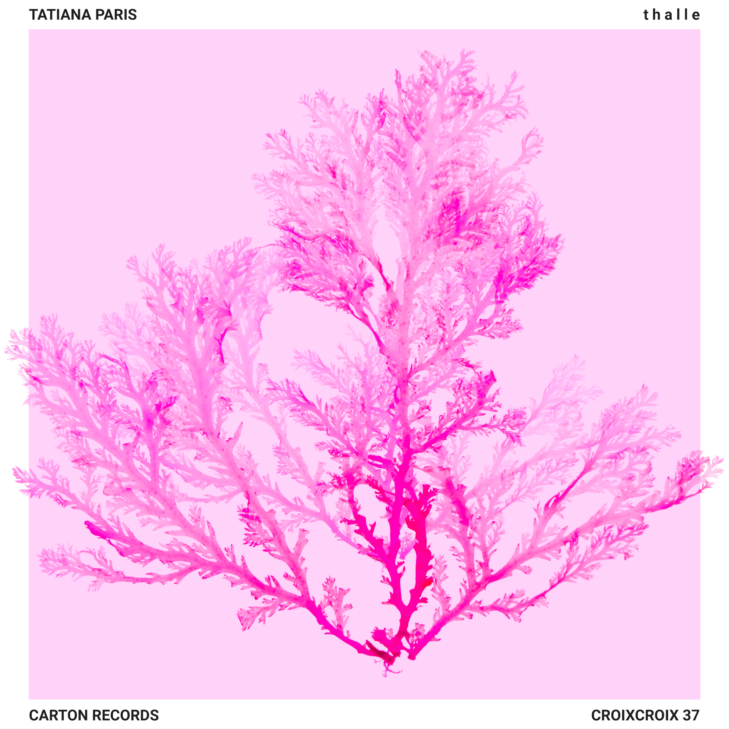 tatiana paris | t h a l l e