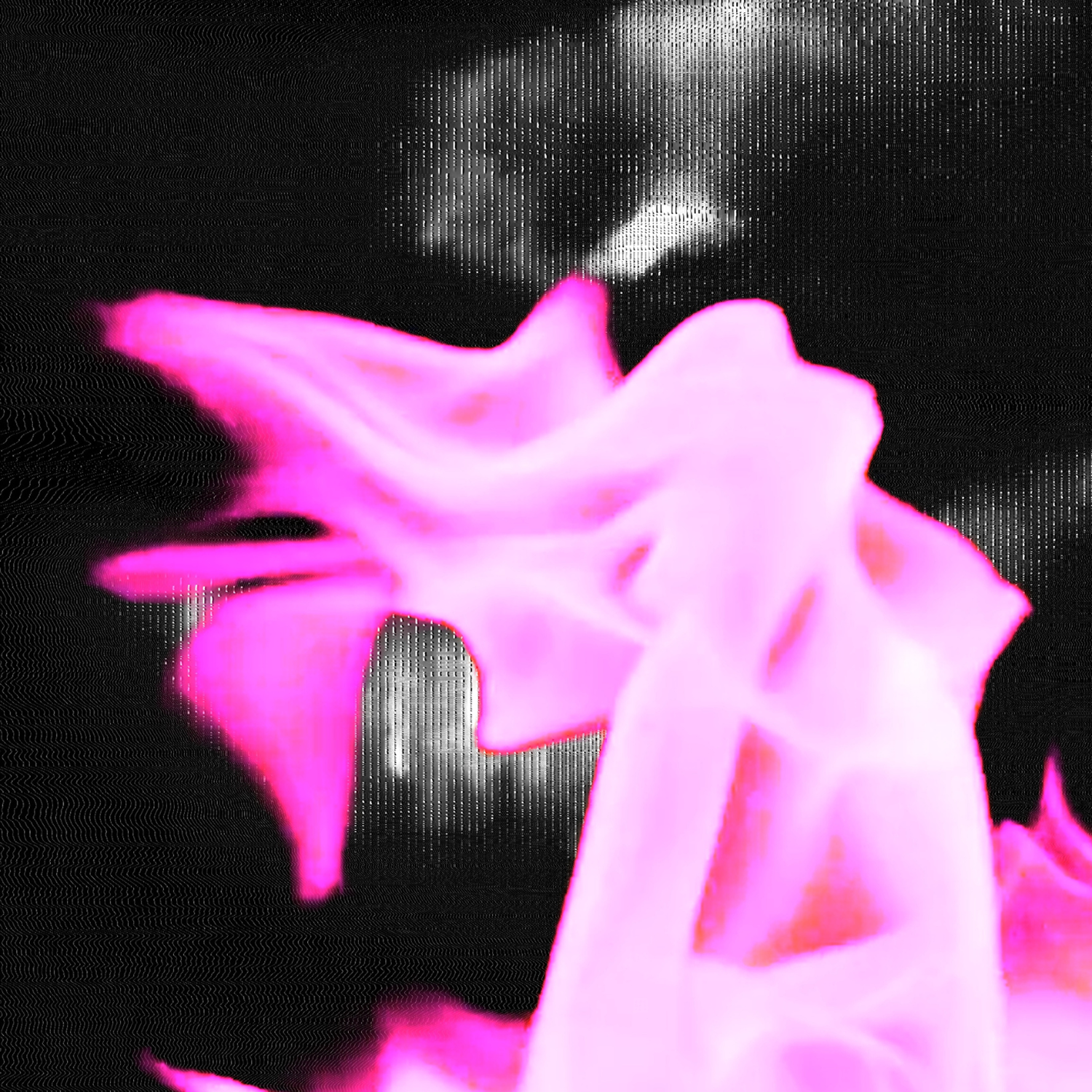 antoine ferris |&nbsp;shame's coming ft. natacha kanga [single out]