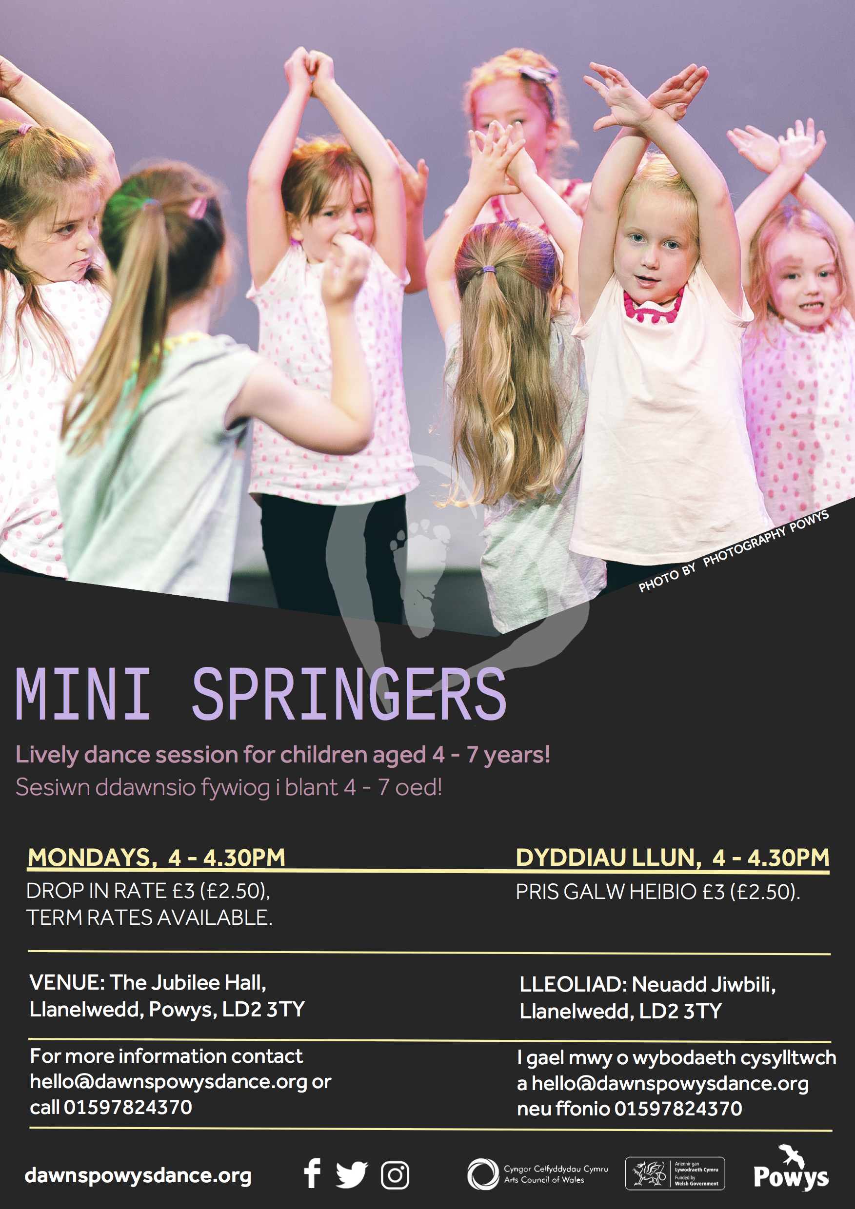 Mini Springers 2017.jpg