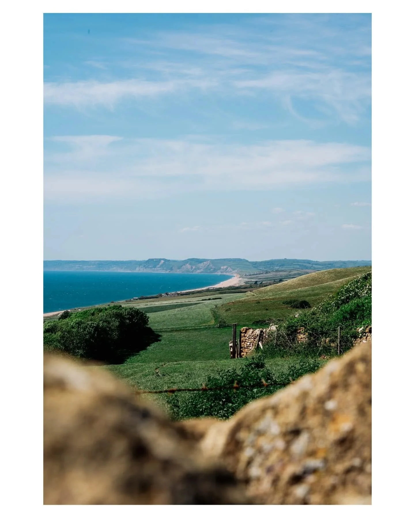 Abbotsbury Subtropical Garden.

#fujix100v #sonya7iii