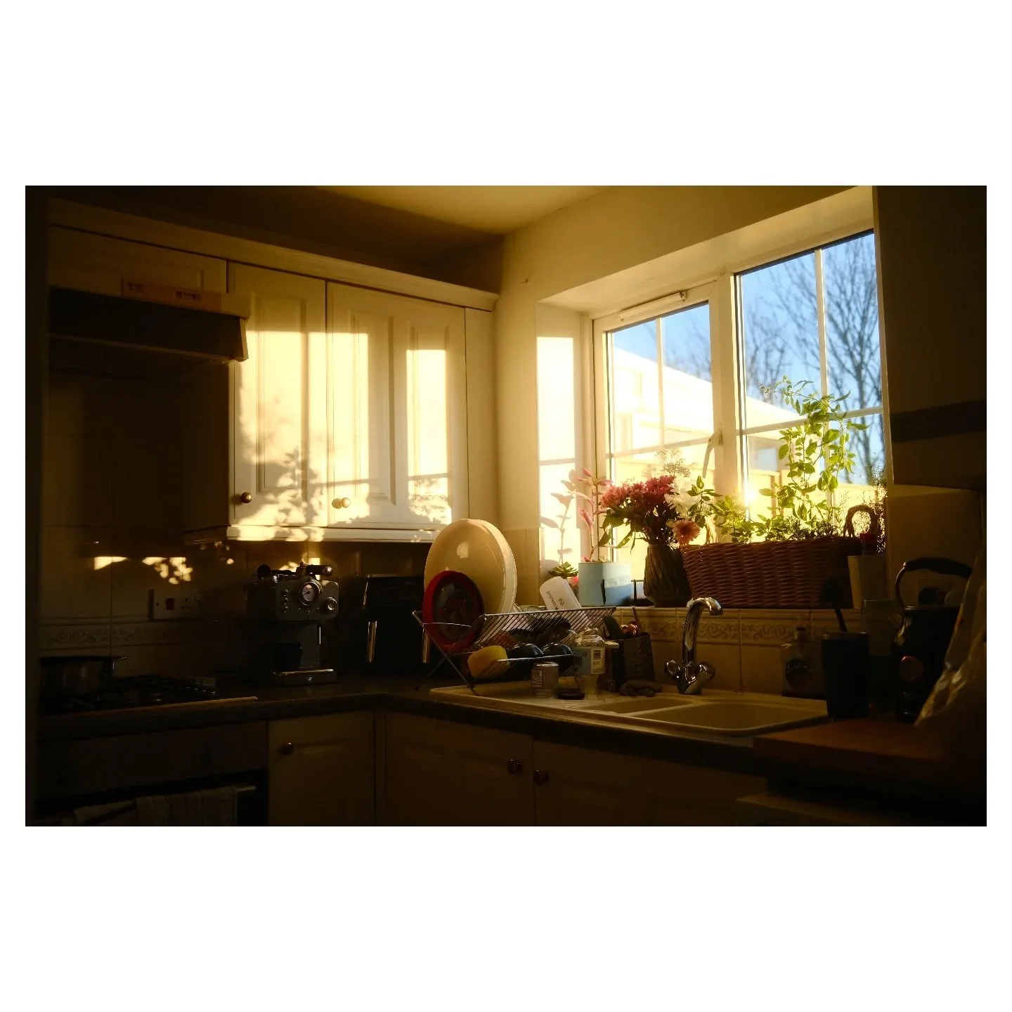 Making this house a home.

#FujiX100V